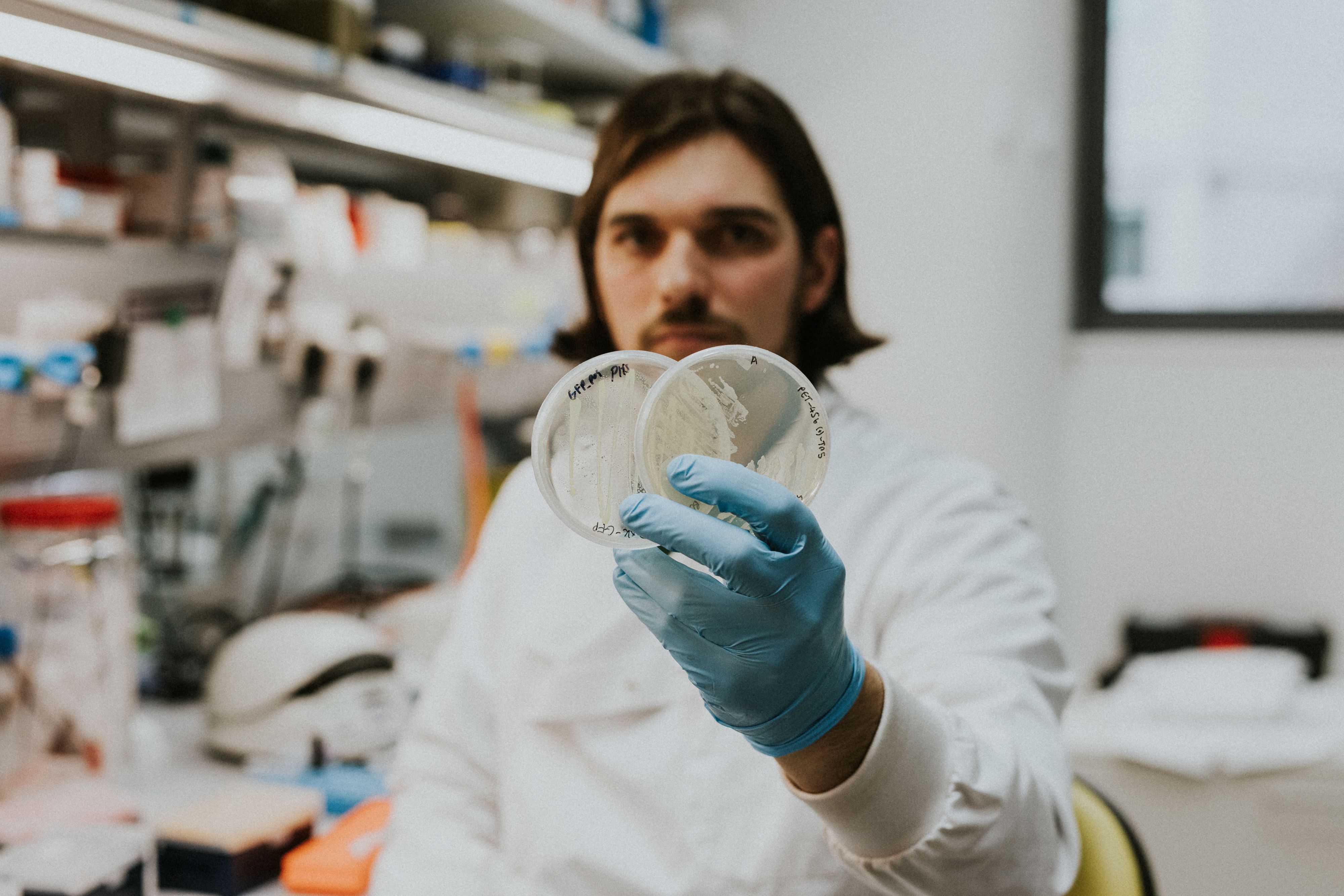 A scientist in a lab coat and blue gloves holding two petri dishes.