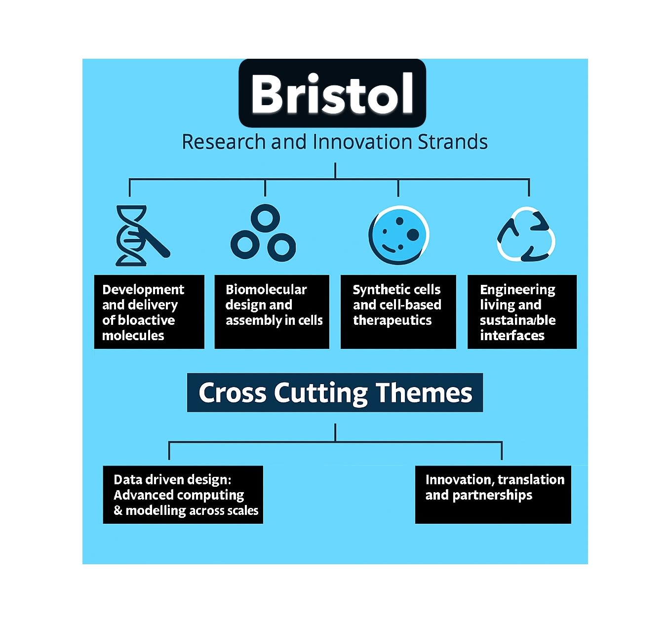 Diagram illustrating the research and innovation strands and cross-cutting themes at Bristol, featuring four research areas: development of bioactive molecules, biomolecular design, synthetic cells, and engineering sustainable interfaces, with two cross-cutting themes: data-driven design and innovation/partnerships.