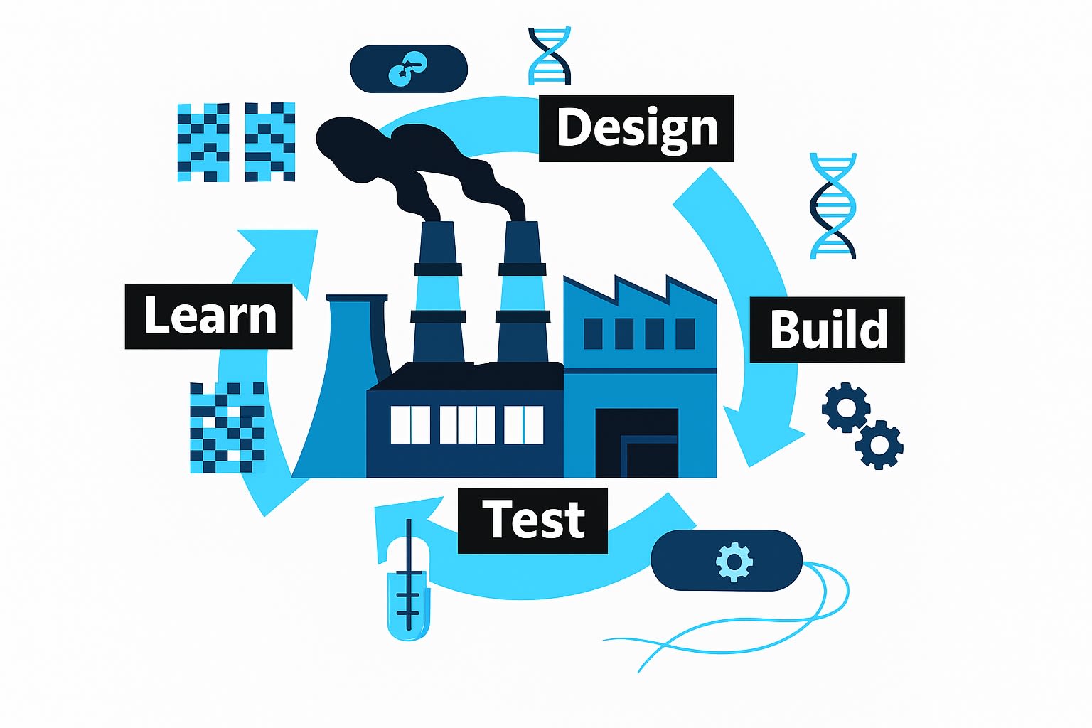 Illustration of a factory with a circular workflow showing stages of "Design", "Build", "Test", and "Learn", represented by DNA, gears, a vial, and pixelated squares, respectively.