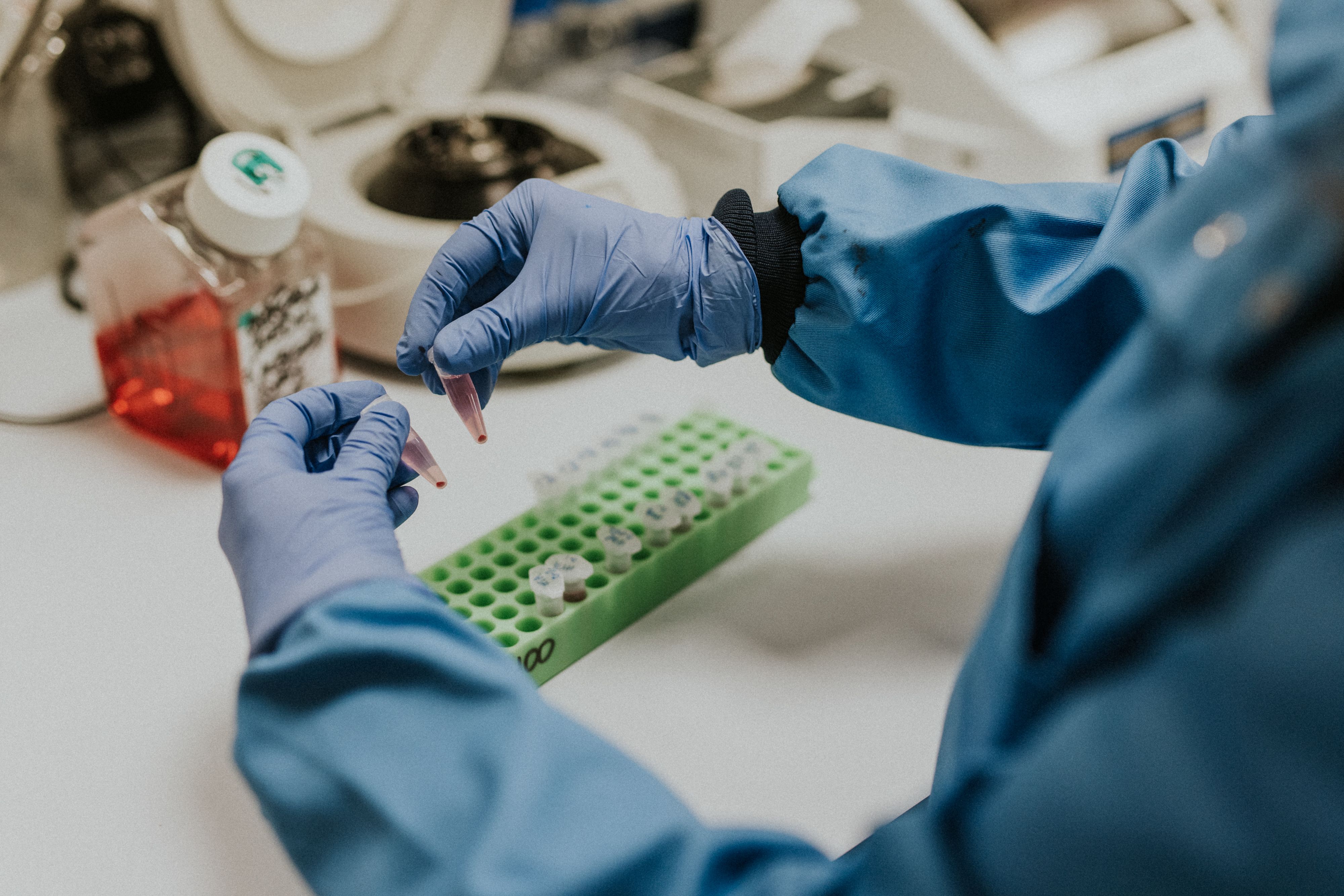 Bioengineering scientist working with pipettes. Close up of hands in surgical gloves.
