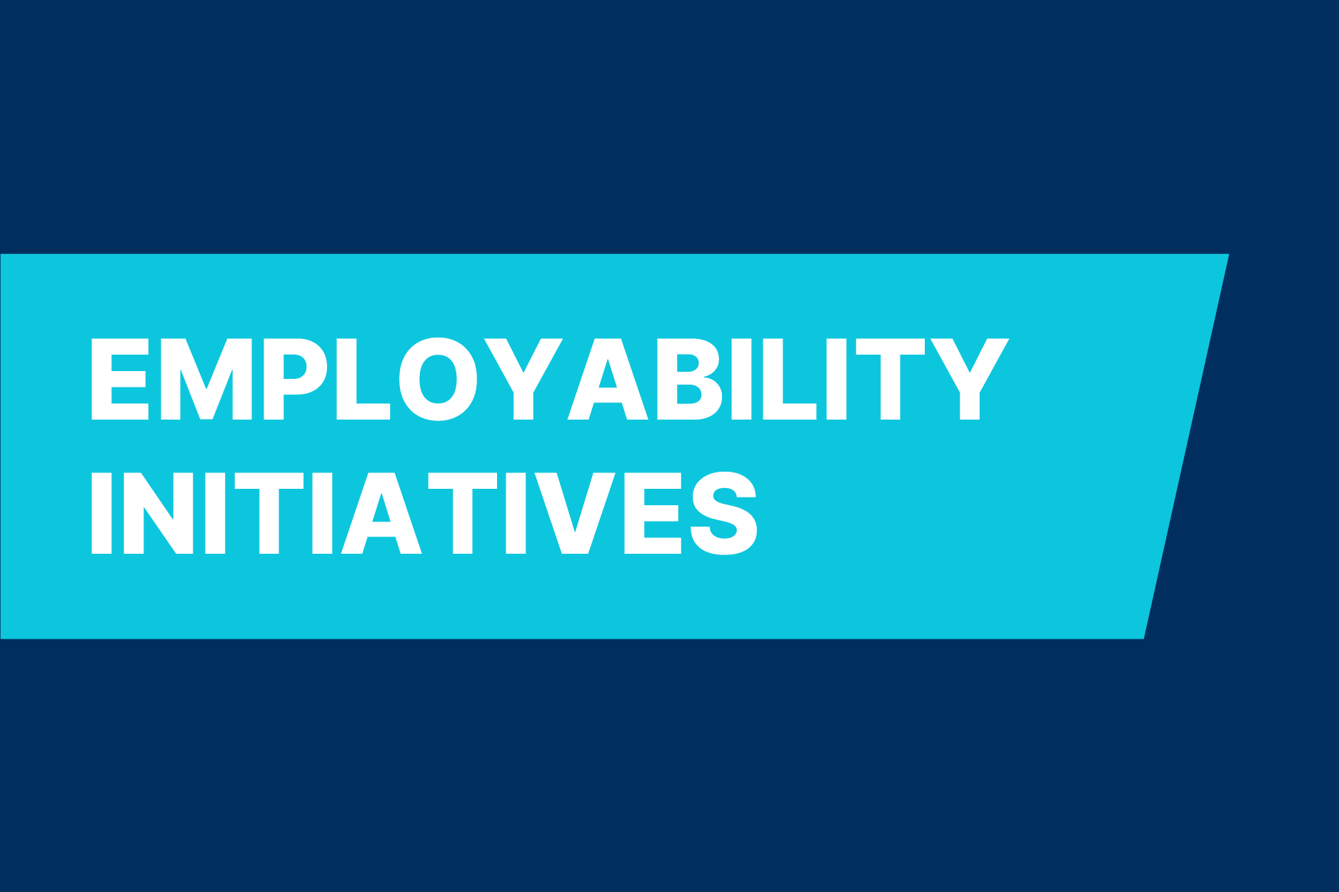 Employability intiatives